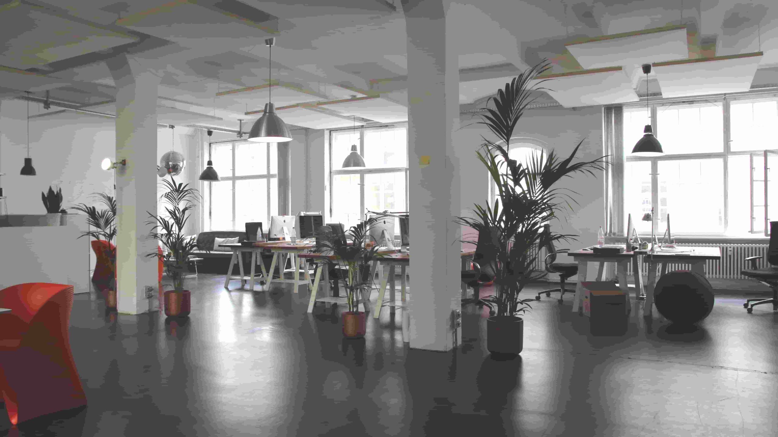 How to Increase Productivity in an Open Office Plan